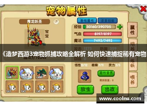 《造梦西游3宠物抓捕攻略全解析 如何快速捕捉稀有宠物》
