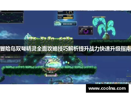 冒险岛双弩精灵全面攻略技巧解析提升战力快速升级指南
